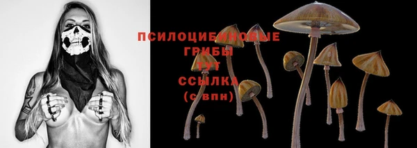 крисы Балабаново